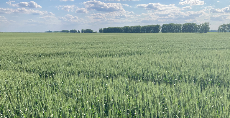 Fodor Családi Gazdaság